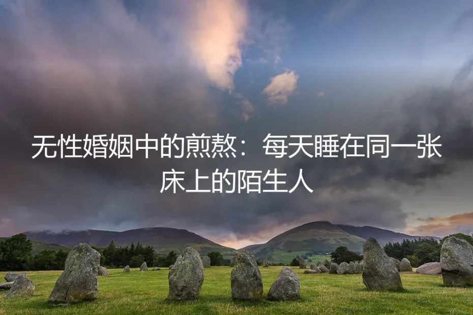 同床异梦:我们睡在婚姻的两岸