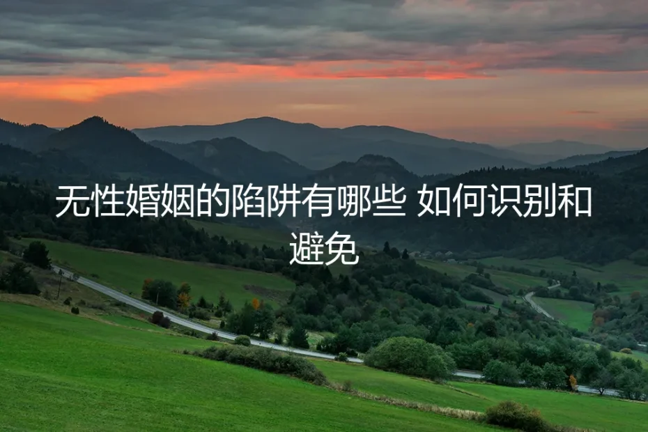 无性婚姻的陷阱识别与避坑实操指南:一份必须签好的人生契约