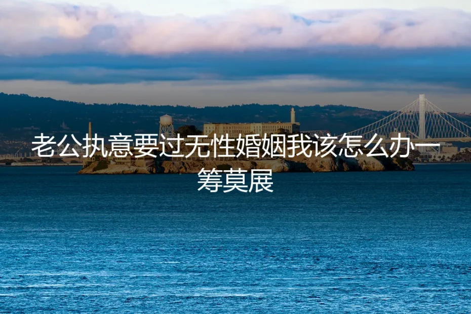 老公执意要过无性婚姻,我该怎么办?从困境到破局的深度剖析