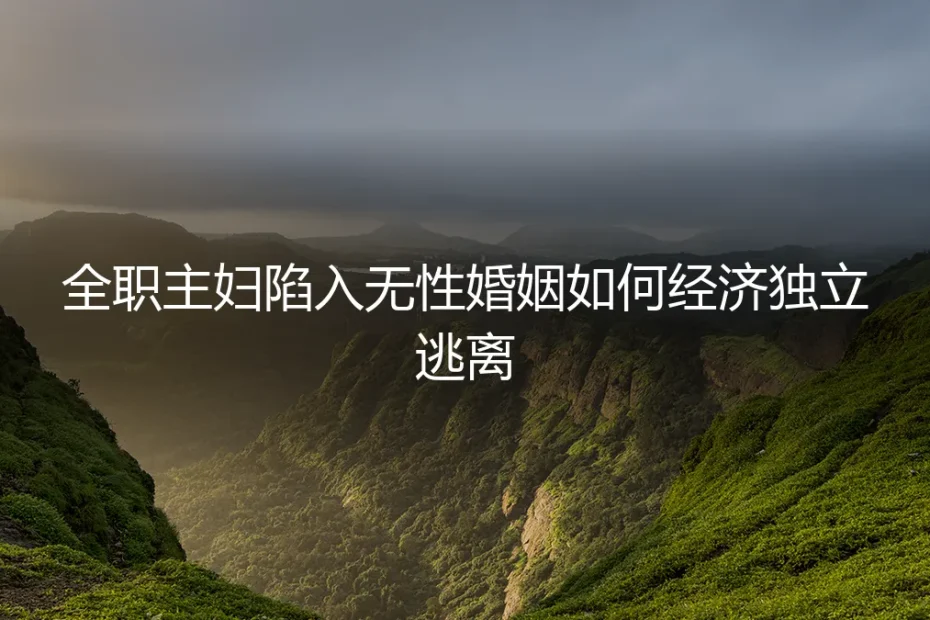 全职主妇无性婚姻自救指南:从经济独立到规划逃离的保姆级实操
