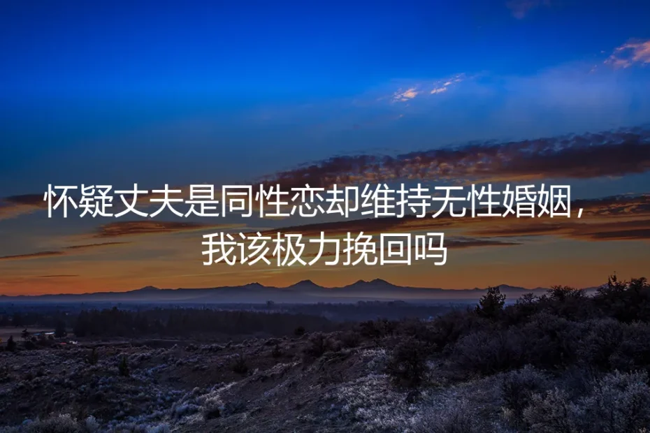 怀疑丈夫是同性恋却维持无性婚姻：挽回、风险与契约精神的深度剖析