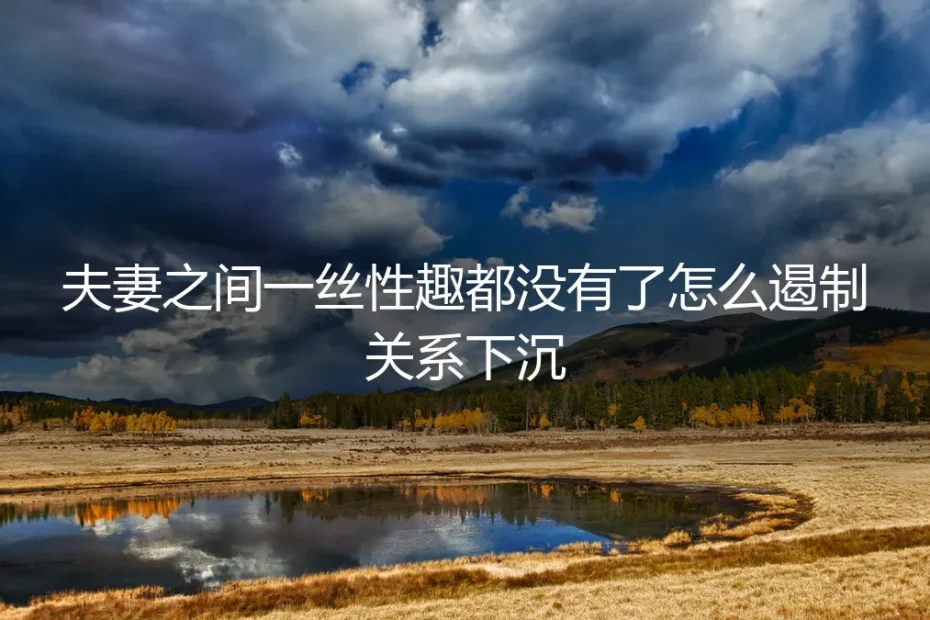 无性婚姻实操避坑指南:当性趣归零,如何遏制关系下沉并构建稳定契约