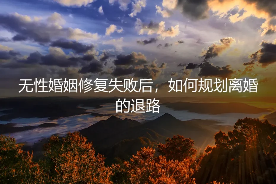 无性婚姻修复失败后,如何规划离婚的退路:一份冷静的资产与情感分割指南