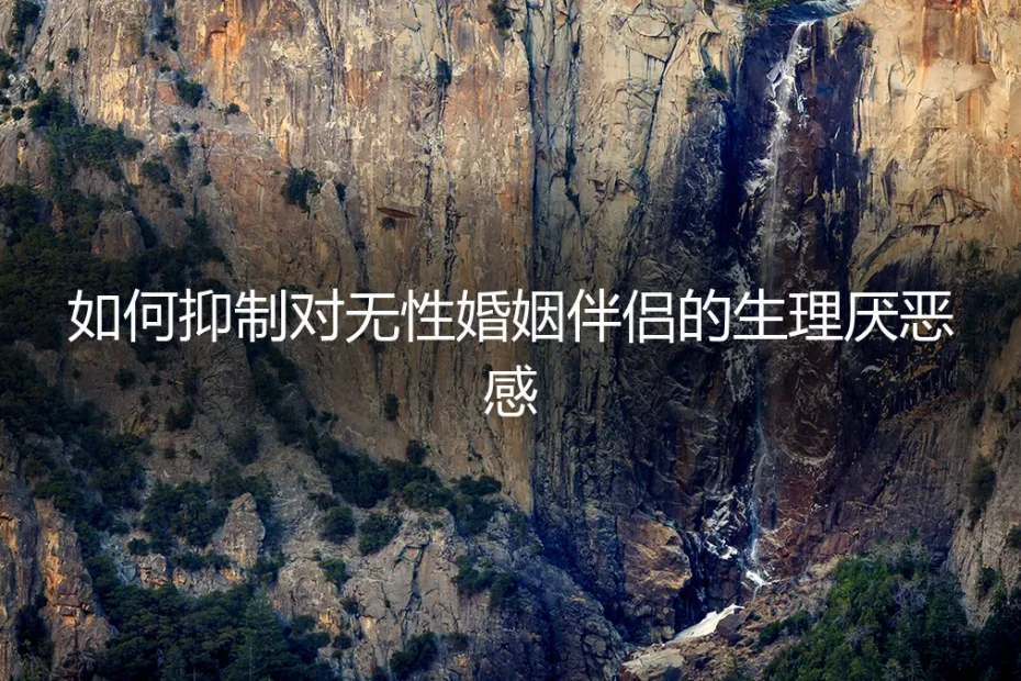 无性婚姻中,如何面对与处理对伴侣的生理厌恶感?