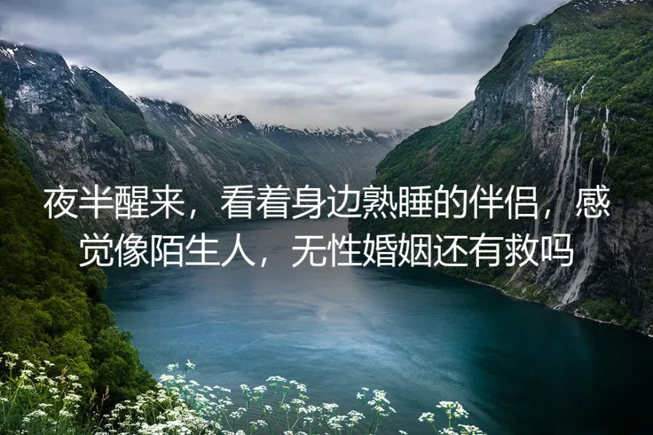 夜半醒来,看着身边熟睡的伴侣,感觉像陌生人:无性婚姻的深度剖析与风险前置指南