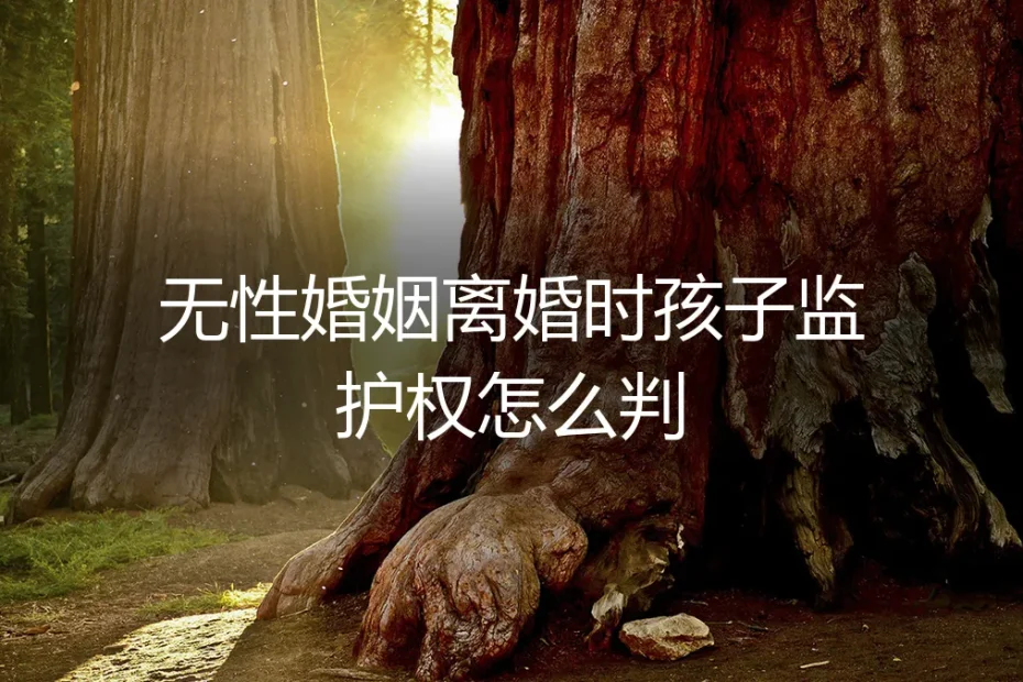 无性婚姻破裂，孩子的监护权归属如何判定？——一份给理性父母的深度风险指南