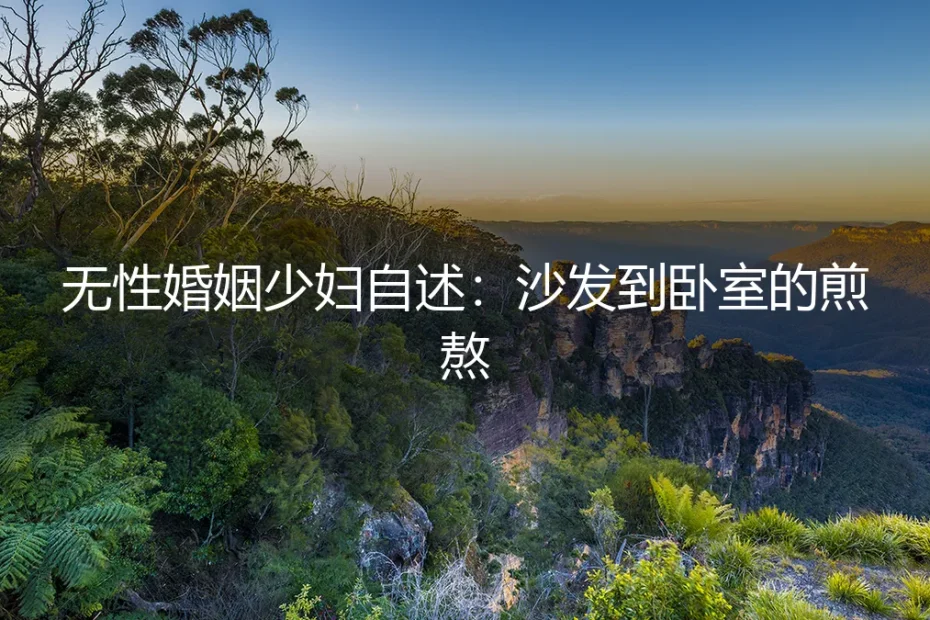 沙发到卧室的十步:一位无性婚姻少妇的自述