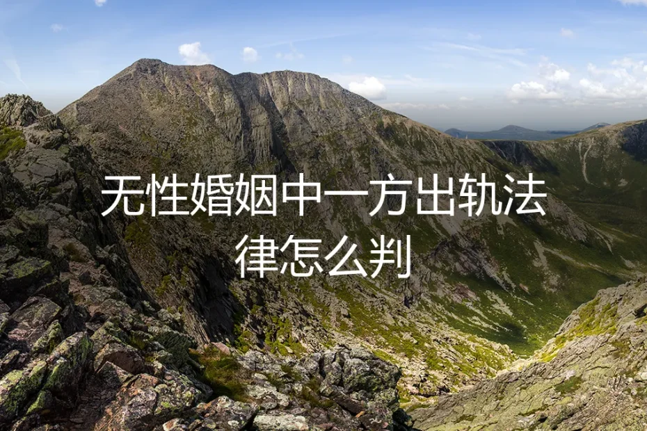 无性婚姻中一方出轨,法律会怎么判?资深咨询师的风险剖析