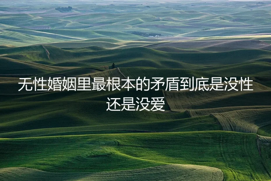 无性婚姻核心矛盾深度答疑:到底是没性还是没爱?