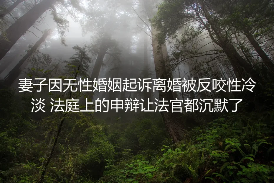 妻子因无性婚姻起诉离婚被反咬性冷淡：法庭申辩背后的破局逻辑
