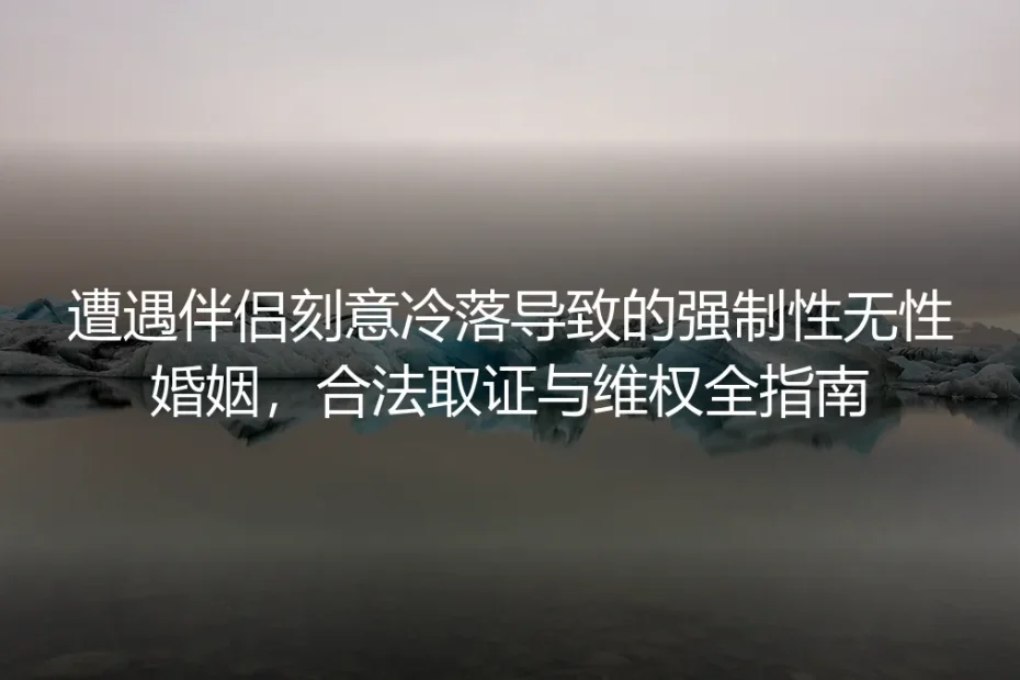 遭遇伴侣刻意冷落的强制性无性婚姻：合法取证与维权保姆级实操指南
