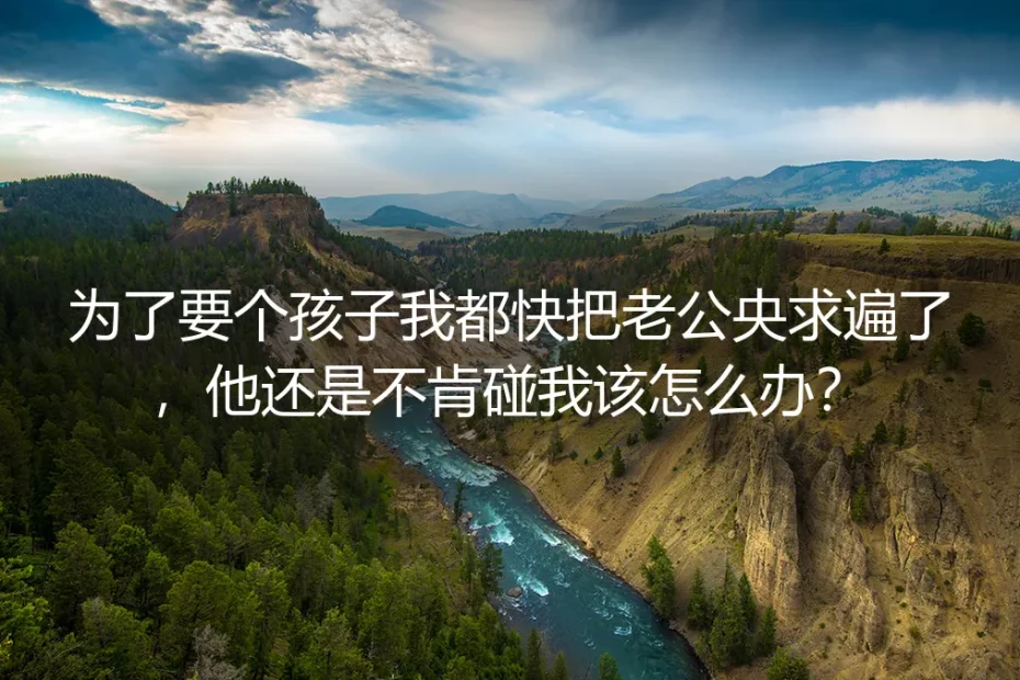 无性婚姻备孕深度FAQ：央求老公同房备孕被拒，你必须理清的4个核心问题