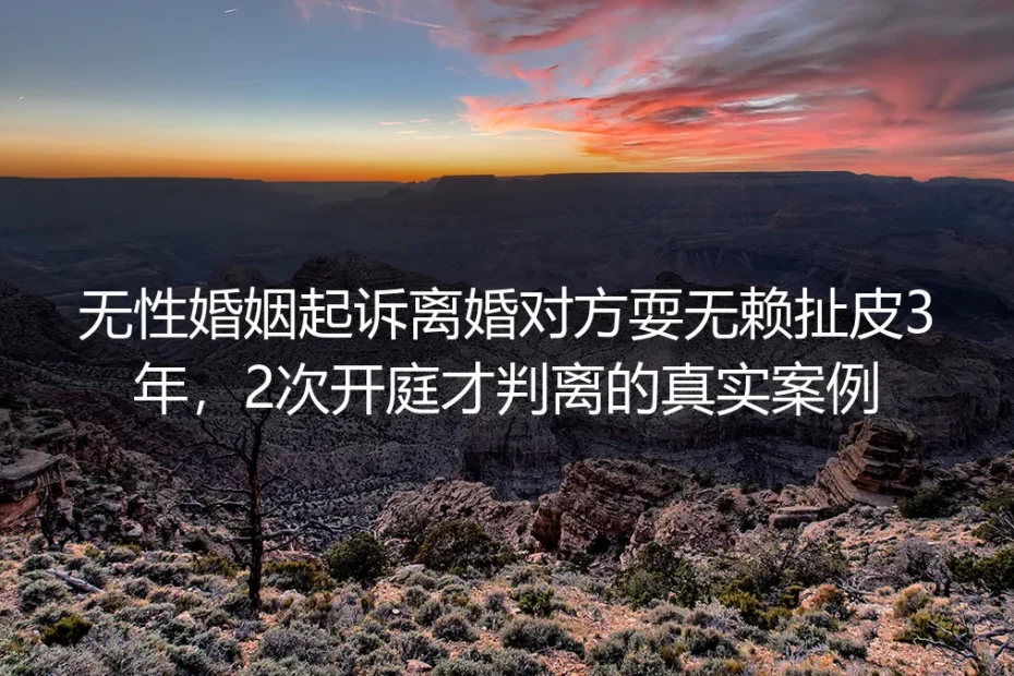 无性婚姻起诉离婚被对方耍赖扯皮3年、2次开庭才判离：亲历者踩坑全复盘