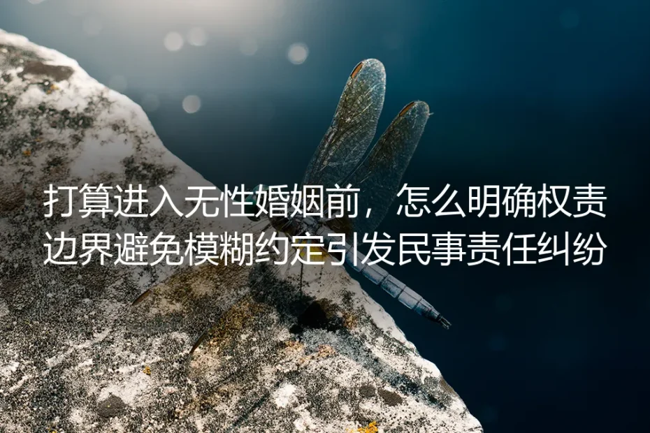 无性婚姻准入保姆级实操指南：明确权责边界，规避模糊约定引发的民事纠纷