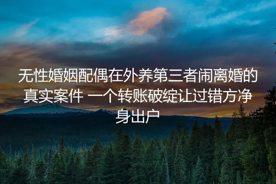 无性婚姻中配偶出轨养第三者闹离婚：一个转账破绽让过错方净身出户的真实复盘