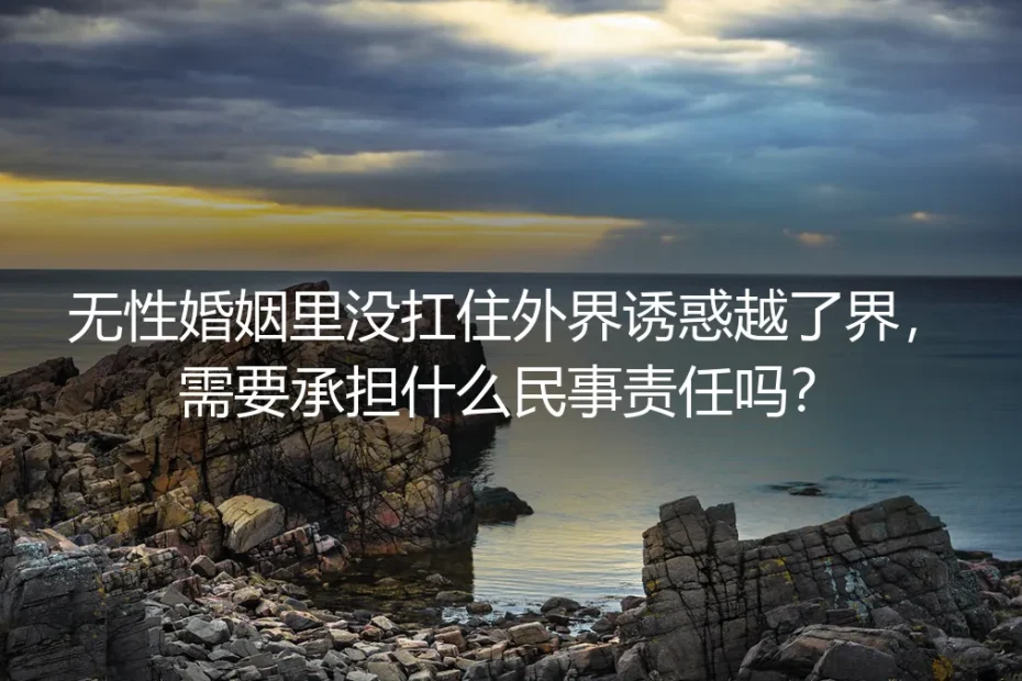 无性婚姻越界民事责任高频答疑：过错认定、财产影响与赔偿边界