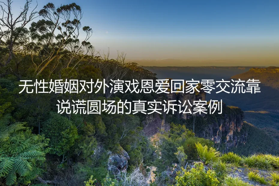 对外演恩爱回家零交流：靠说谎圆场的无性婚姻诉讼案深度剖析