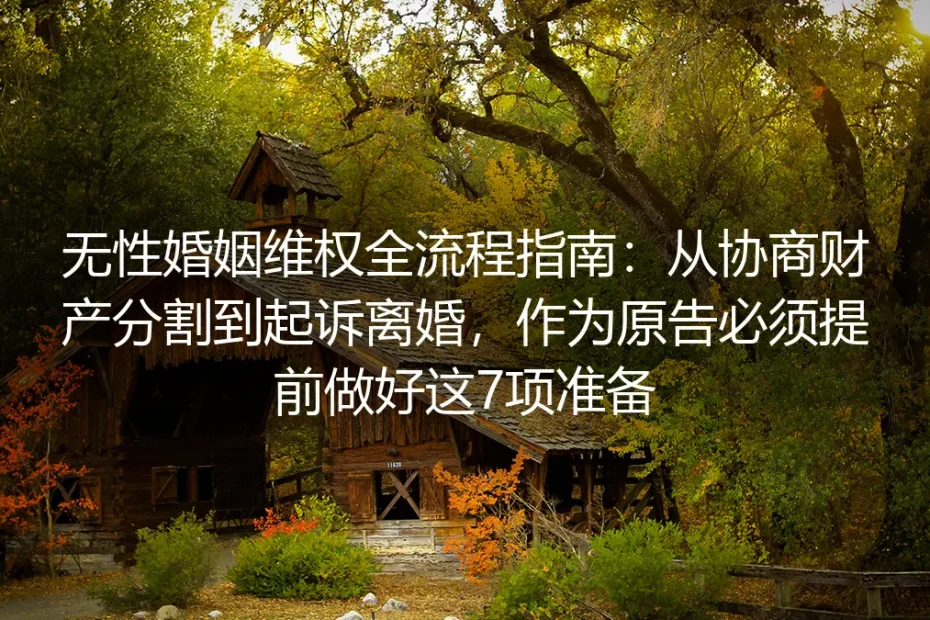 无性婚姻维权全流程指南：从协商财产分割到起诉离婚，作为原告必须提前做好这7项准备