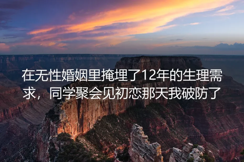 12年无性婚姻里藏起的渴望，在同学会见到初恋时决了堤
