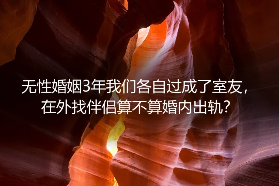 无性婚姻3年成室友：在外找伴算不算出轨？核心问题深度答疑