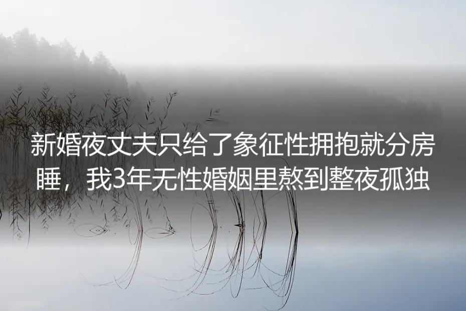 新婚夜他抱了我一下就去客卧，我在三年无性婚姻里学会了给自己暖床