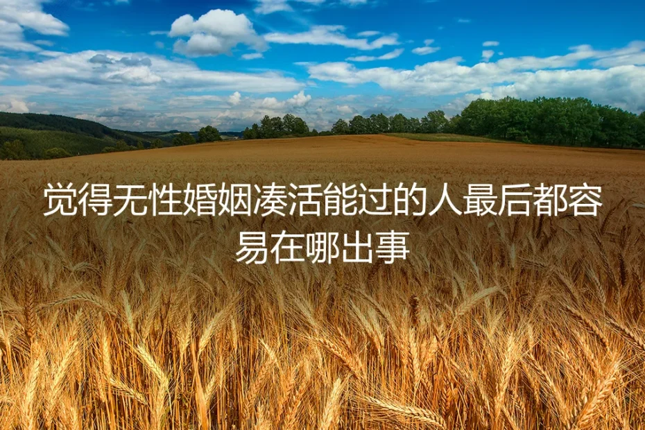 觉得无性婚姻凑活能过的人，最后都容易栽在这几个坑里