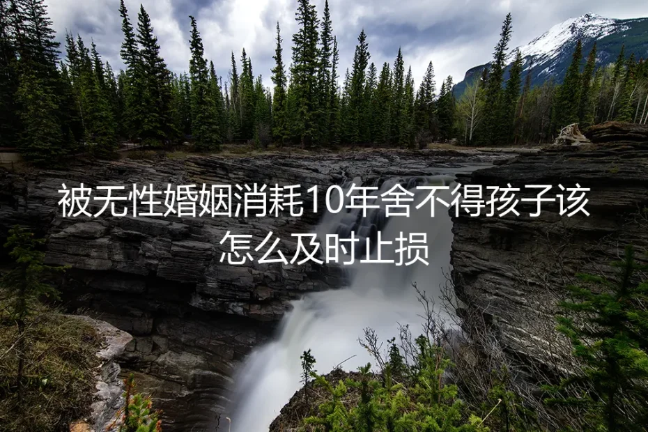 被无性婚姻消耗10年舍不得孩子？保姆级止损实操避坑指南