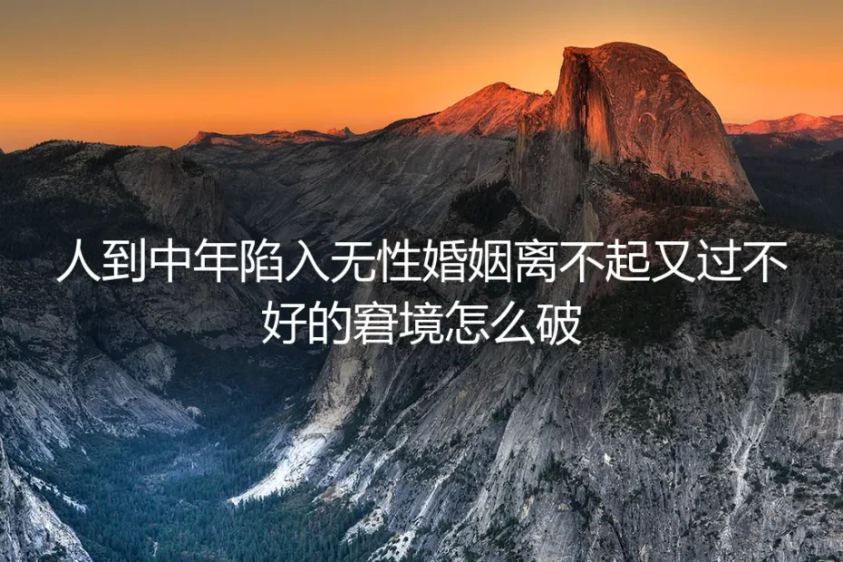 人到中年无性婚姻破局保姆级指南：离不起又过不好的窘境实操破解方案
