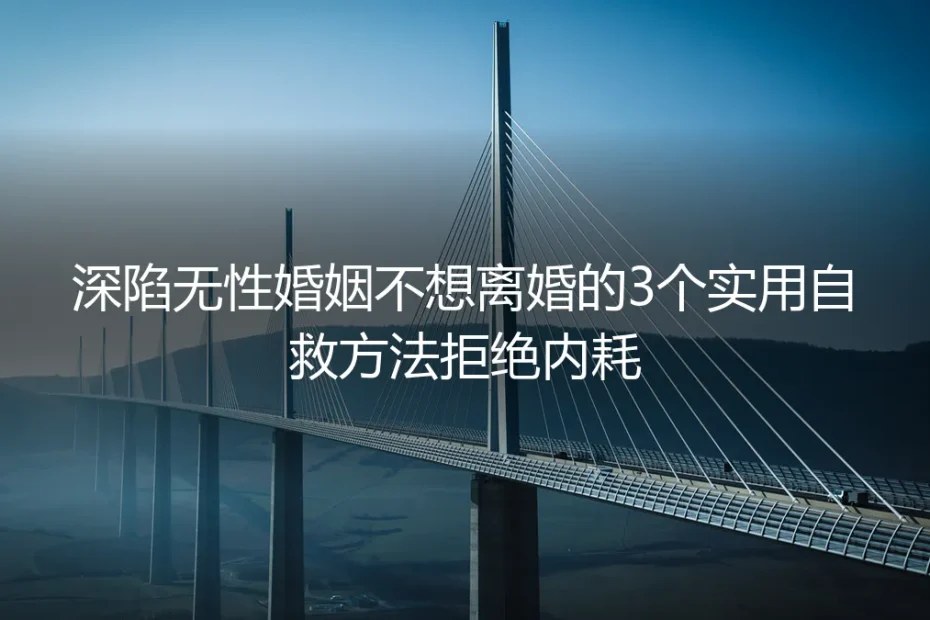 深陷无性婚姻不想离婚?保姆级自救实操指南:3个核心方法拒绝内耗