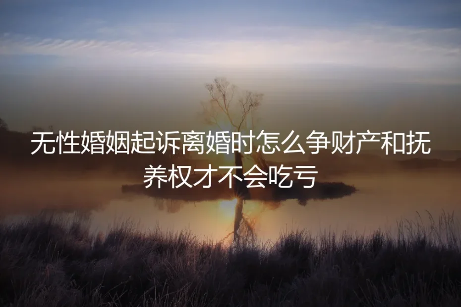 无性婚姻起诉离婚实操避坑指南:争财产、夺抚养权全程不吃亏