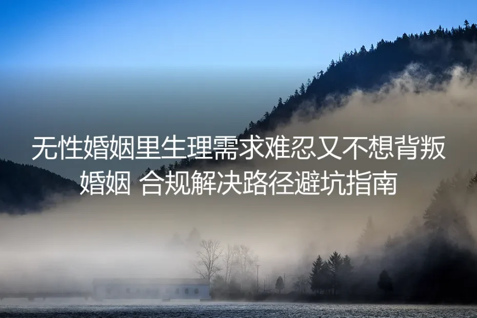 无性婚姻生理需求难忍又不想背叛：合规解决路径保姆级实操避坑指南