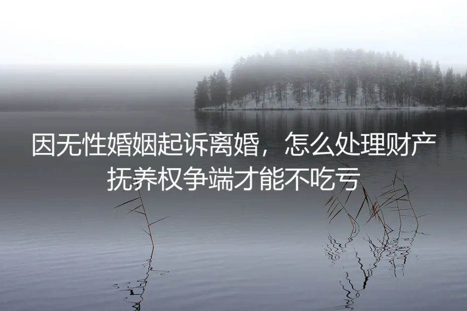 无性婚姻起诉离婚实操指南：财产分割+抚养权争取全流程避坑不吃亏