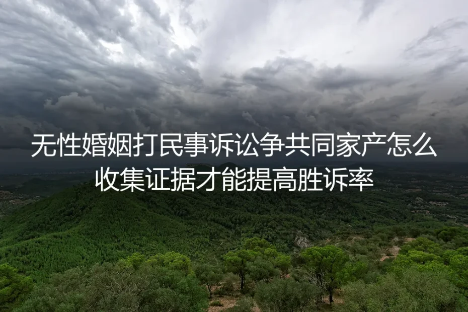 无性婚姻打民事诉讼争共同家产：证据收集实操指南（附胜诉避坑清单）