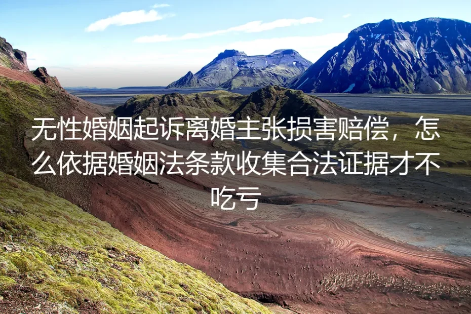 无性婚姻起诉离婚主张损害赔偿：合法证据收集保姆级实操避坑指南