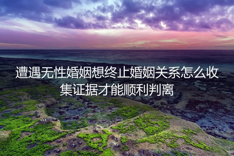 无性婚姻起诉离婚实操避坑指南：合法证据收集全方案助你顺利判离