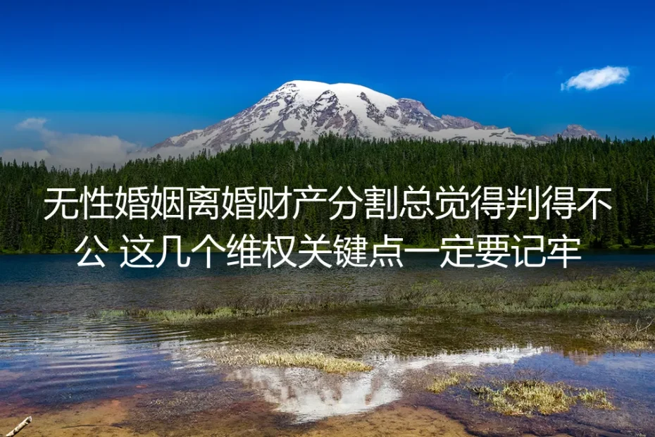 无性婚姻离婚财产分割总觉得判得不公？保姆级维权实操避坑指南