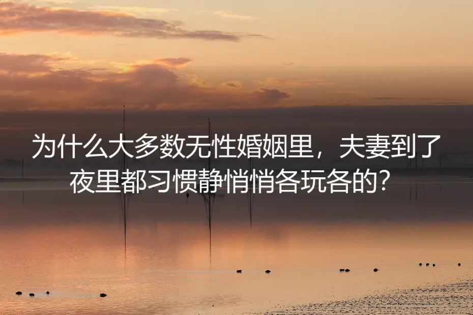 无性婚姻深夜相处FAQ：为什么多数伴侣习惯静悄悄各玩各的？