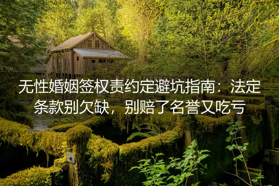 无性婚姻签权责约定避坑指南：法定条款别欠缺，别赔了名誉又吃亏