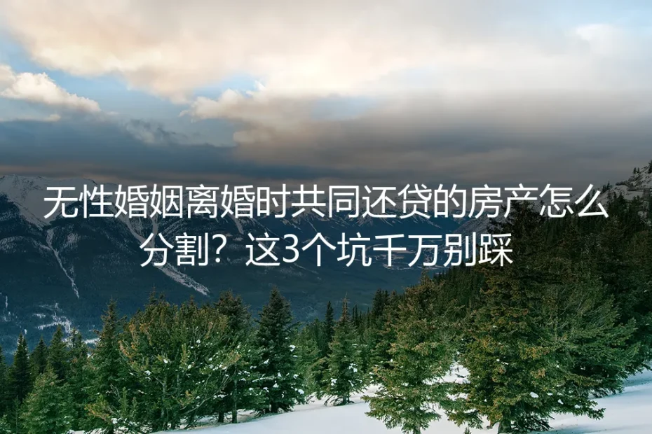 无性婚姻离婚时共同还贷房产怎么分割?保姆级避坑实操指南