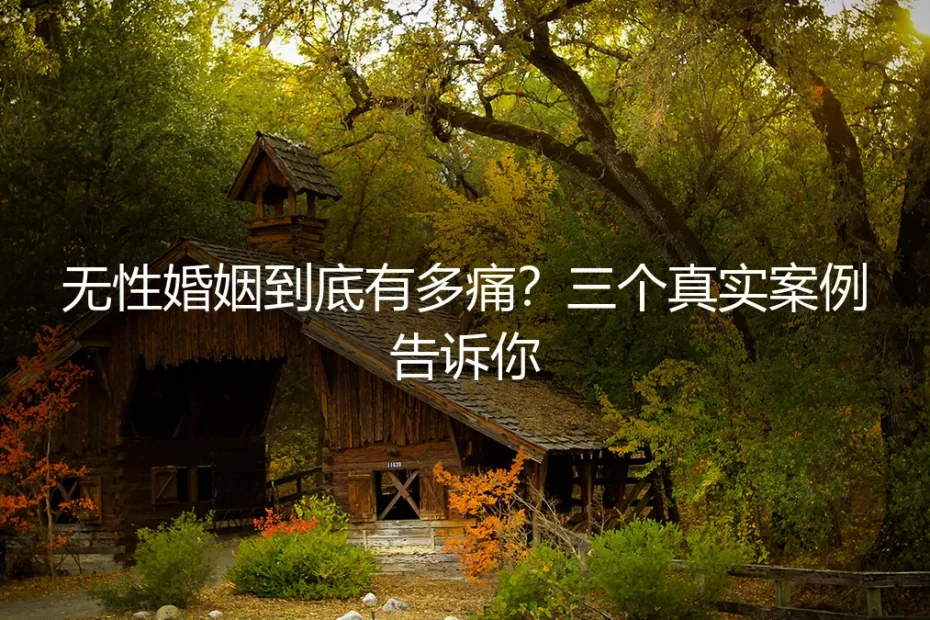 无性婚姻到底有多痛?三个真实案例告诉你