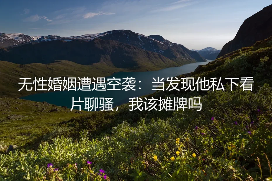 无性婚姻遭遇空袭：发现他私下看片聊骚，我该摊牌吗？