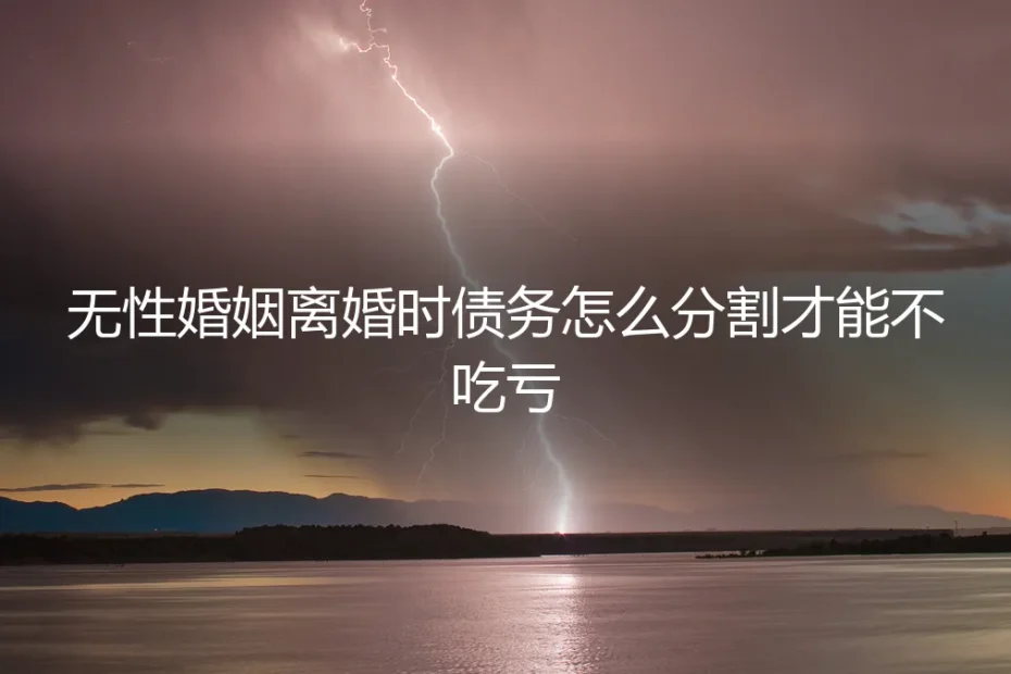 无性婚姻离婚时债务怎么分割才能不吃亏?保姆级实操避坑指南