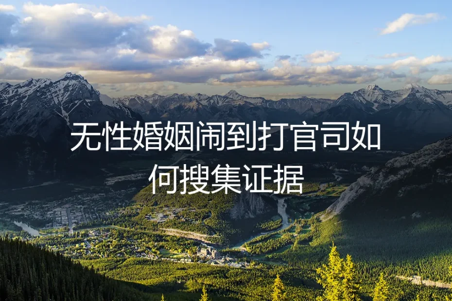 无性婚姻闹到打官司如何搜集证据？保姆级实操避坑指南