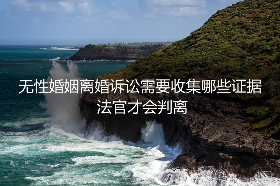 无性婚姻离婚诉讼证据收集全指南：法官判离的实操避坑手册