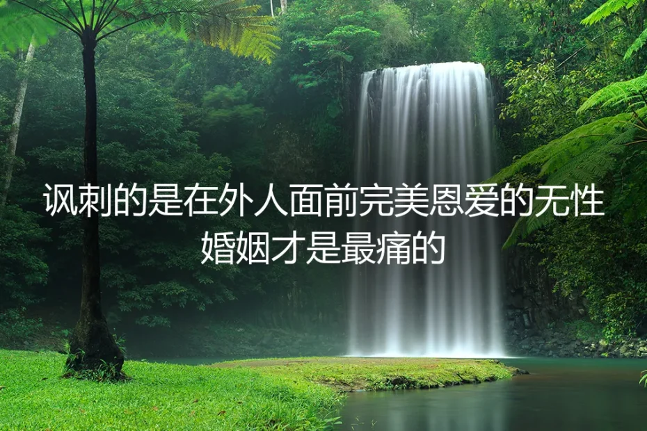 完美的假面:我们是最恩爱的无性夫妻
