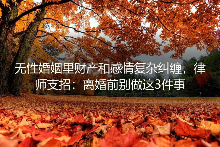 无性婚姻里财产和感情复杂纠缠,律师支招:离婚前别做这3件事