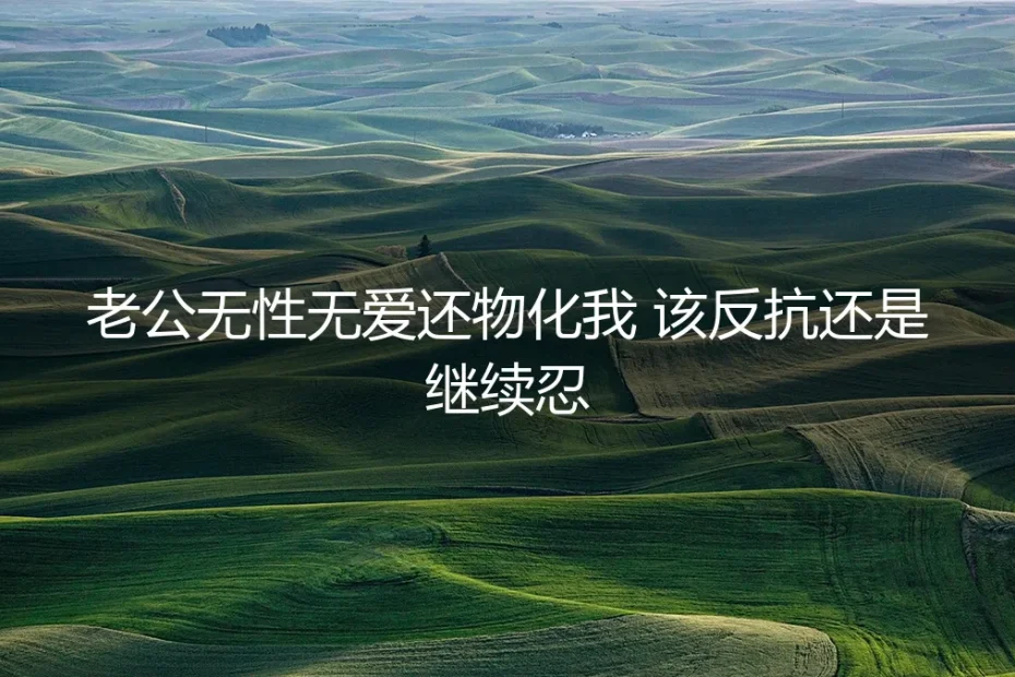老公无性无爱还物化我：反抗或忍耐，都不是唯一答案