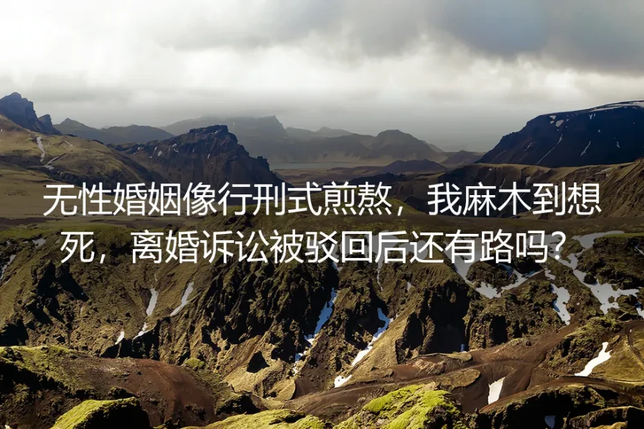 无性婚姻像行刑式煎熬，我麻木到想死，离婚诉讼被驳回后还有路吗？