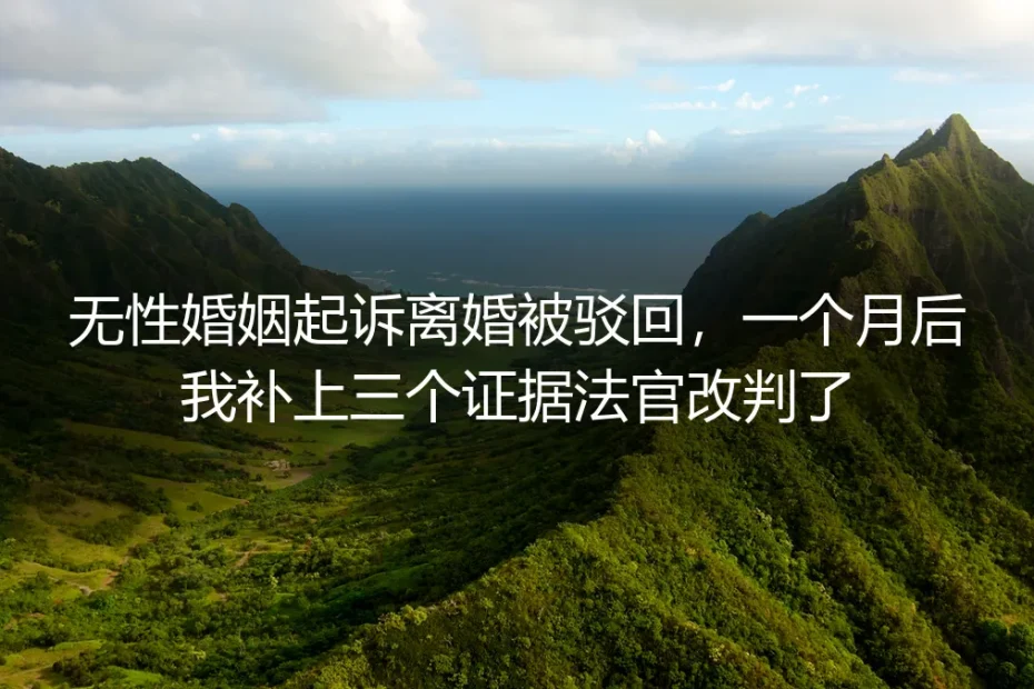 无性婚姻起诉离婚被驳回，一个月后我补上三个证据法官改判了