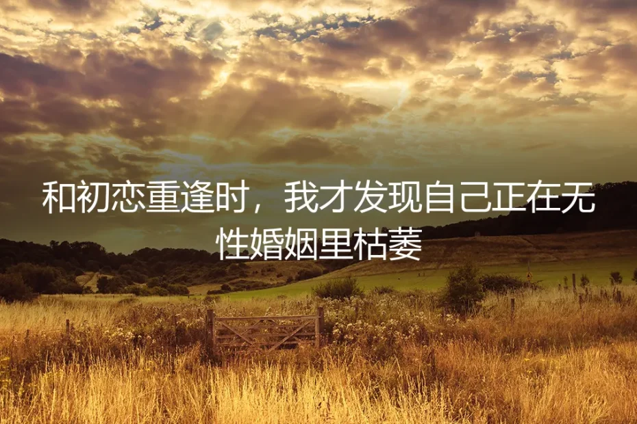 和初恋重逢时，我才发现自己正在无性婚姻里枯萎